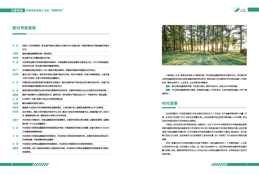 大象绿金年报设计案例